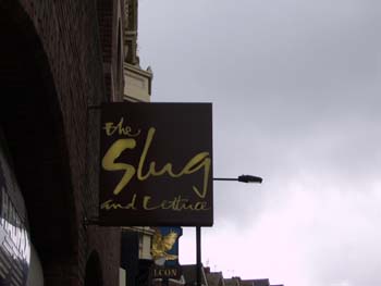 Slug and lettuce